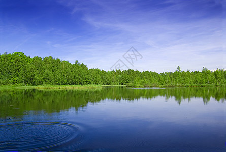 湖边森林天空紫色环境公园木头植被绿色远景植物运动背景图片