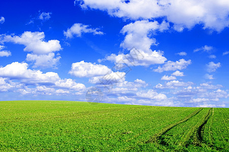 绿地和蓝天空的概念形象农场蓝色乡村草原场景太阳天气草地季节绿色图片