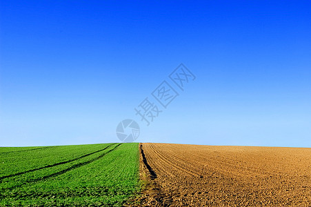 绿色和犁田的概念形象植物季节晴天天空天气乡村场景农场环境蓝色图片