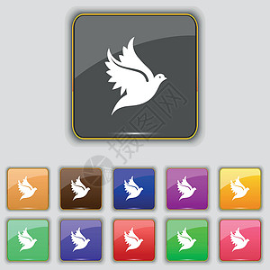 Dove 图标符号 您的站点设置有11个彩色按钮 矢量图片