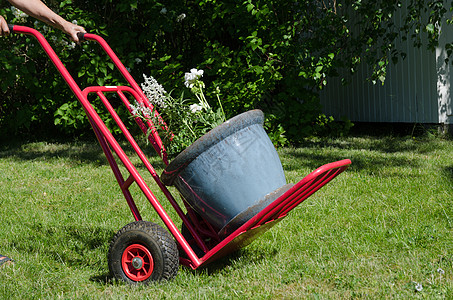 手推车上的鲜花载体院子植物运输帮助园艺爱好大车花园花盆图片