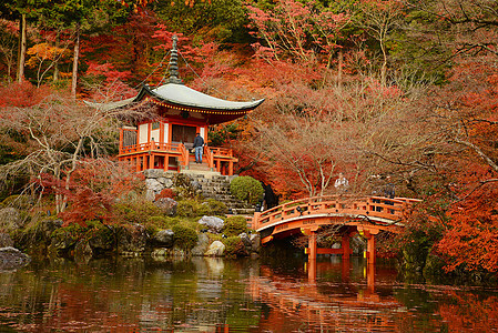 京都寺庙红色文化宗教建筑佛教徒宝塔花园公园神社艺术图片