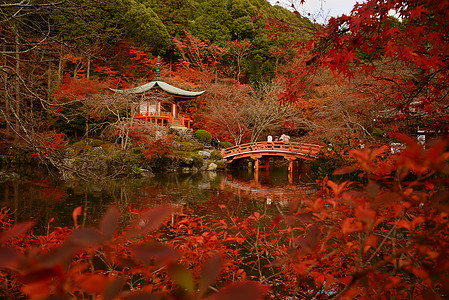 京都寺庙宝塔公园神社红色文化建筑学宗教建筑佛教徒花园图片