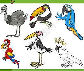 它制作图案鸟卡通设置羽毛插图鸵鸟绘画卡通片童话野生动物荒野动物园情调图片