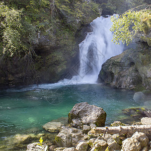 斯洛文尼亚欧洲Vintgar峡谷的瀑布石头树木旅行森林小路环境吸引力公园踪迹远足图片