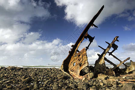 新西兰新普利茅斯海滩退潮时的沉船图片