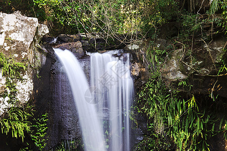 坦波林山的柯蒂斯瀑布瀑布石头溪流岩石绿色叶子森林国家遗产公园图片
