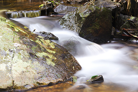 坦波林山的柯蒂斯瀑布生态自然环境遗产叶子溪流瀑布腹地岩石石头公园图片