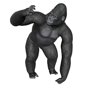 愤怒的大猩猩 - 3D图片