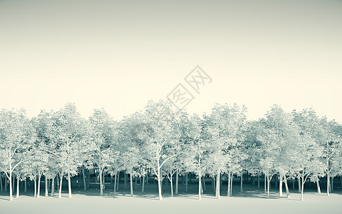 白色背景的森林白白 3d 说明生态植物森林环境背景图片