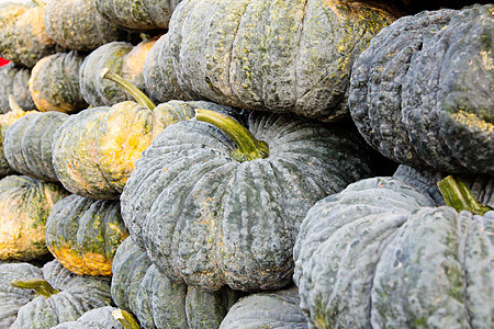 市场上的南瓜堆蔬菜植物南瓜葫芦绿色季节美食花园橙子水果背景图片
