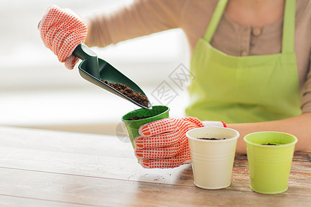 紧紧握着手的女子 用播种的种子植物农业幼苗花园农场围裙桌子农民生物园丁图片