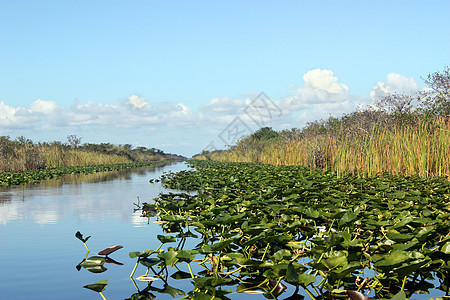 易碎石假期钓鱼野生动物远足娱乐热带蓝色沼泽地天空美丽图片