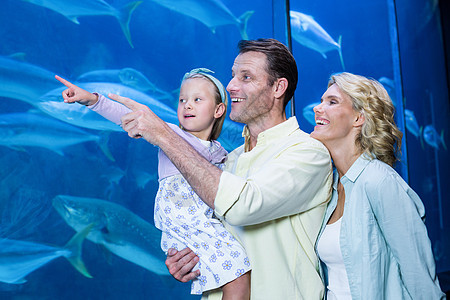 幸福的一家人看着鱼缸父亲男性女性好奇心游泳母亲男人女儿水族馆生活图片