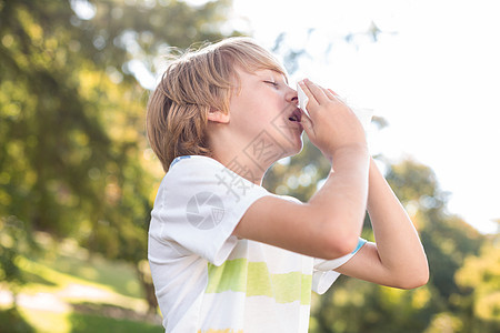 小男孩吹鼻涕公园花粉树木男生闲暇绿地金发流感浅色农村图片
