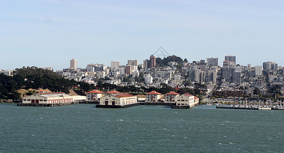 旧金山港商业港口场景蓝色城市摩天大楼旅游地标码头建筑学图片
