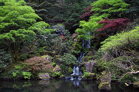 日本花园池塘溪流神道庭园花园灌木丛瀑布树木灌木佛教徒图片