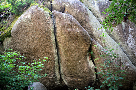 费切特尔山脉的岩石高山季节乡村荒野风景庇护所远足丘陵环境旅行图片