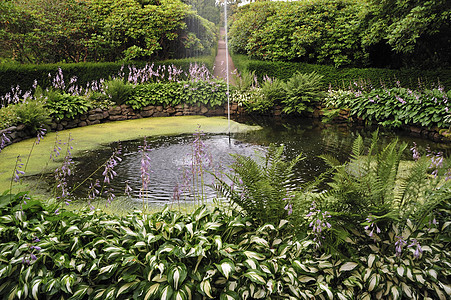 克拉帕普花园园景植物建筑学建筑水平特色池塘草地旅游花坛图片