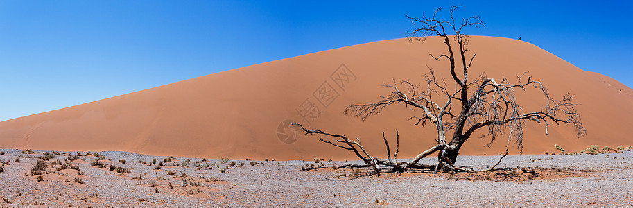 纳米比亚索苏苏夫莱区45号迪内太阳风景纳米布沙丘荒野旅行蓝色环境干旱冒险图片
