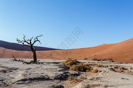 纳米布沙漠中隐藏的Vlei美丽景观蓝色旅游太阳阴影孤独沙漠橙子干旱沙丘天空图片