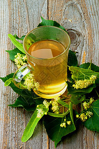 林登树花茶饮料叶子茶杯宏观花朵饮食花头保健医学花瓣图片