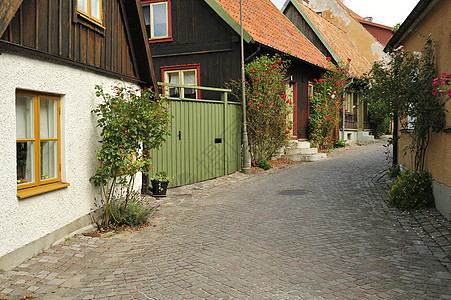 瑞典语住房绿色水平结构住宅田园外观红色前院文化房子图片