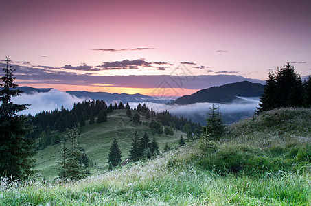 海菲尔德山高地貌喀尔巴阡山 乌克兰草地高地全景地标房子土地小路云杉晴天天空背景