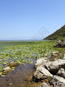 湖边旅行晴天边缘孤独城市公园沼泽天气爬坡森林图片