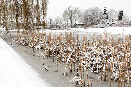 池塘水上的雪和冰图片