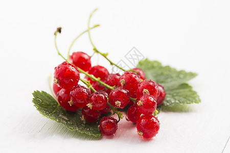 红 currant 特写红色绿色浆果团体白色食物叶子水果蔬菜图片