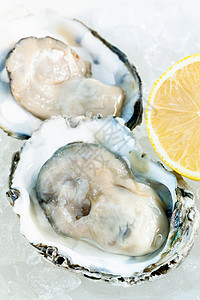 新鲜牡蛎开胃菜冷藏食物柠檬贝类饮食甲壳壳类海洋厨房生蚝图片