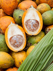 贝特尔坚果放在地上烘干槟榔咀嚼栽培绿色生长黄色热带水果植物学棕榈图片