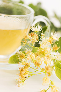 茶壶 茶壶和杯子 加上叶茶和鲜花椴树治疗叶子花朵药品保健芳香香气卫生桌子图片