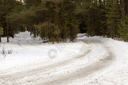 冬季公路树木风景旅行季节森林时间寒冷危险国家交通图片