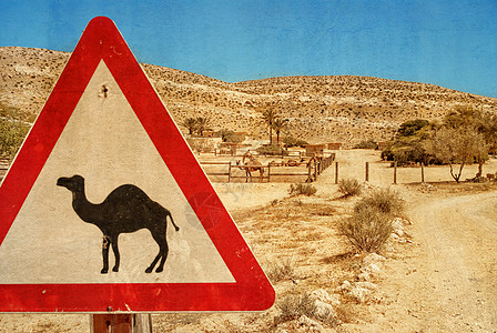 道路标志     骆驼和骆驼的牛圈图片