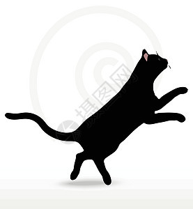 矢量图像  跳动姿势中的猫头巾猫科草图阴影冒充宠物狮子山猫野猫白色哺乳动物图片