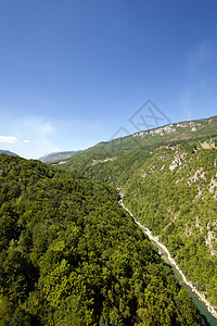 黑山其他山区林区植物园图片