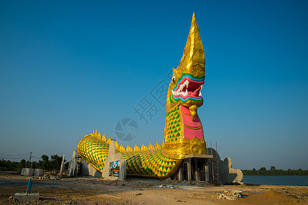 大金色大纳加雕像建筑学古董雕塑寺庙旅行天空佛教徒动物宗教图片