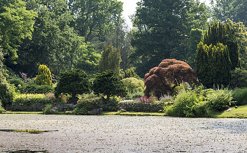 拥有植物和水池的大型公园花园英语作品园艺土地木头绿色美化树木图片