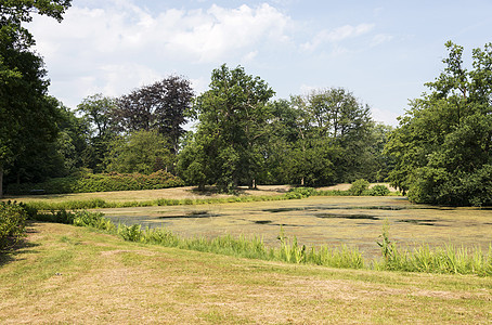 拥有植物和水池的大型公园树木房子美化绿色木头建筑土地作品园艺花园图片