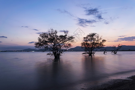 美丽自然海景旅行海滩海浪岩石太阳旅游天空阳光风景图片