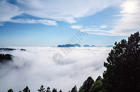 皮埃尔圣马丁皮雷内斯大西洋 阿克维塔尼 弗朗西环境岩石树木旅行山脉松树场地天空云杉石头图片