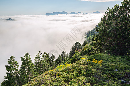 皮埃尔圣马丁皮雷内斯大西洋 阿克维塔尼 弗朗西公园爬坡云杉顶峰天空农村全景山脉晴天森林图片