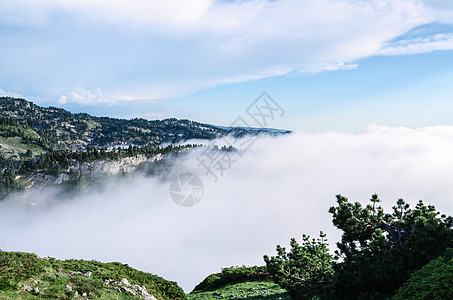 皮埃尔圣马丁皮雷内斯大西洋 阿克维塔尼 弗朗西旅行松树森林山脉云杉树木场景石头晴天场地图片