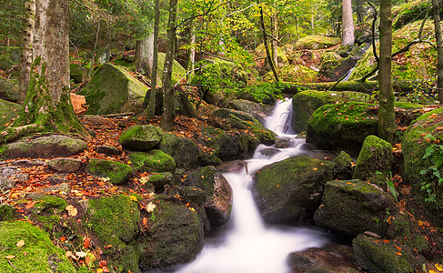 秋天的格尔特尔斯巴彻瀑布 德国黑森林图片