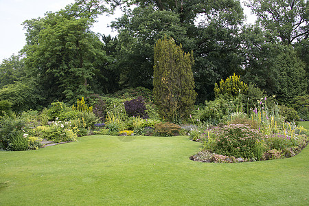 园中插花和园圃中的花卉作品植物土地花园公园园艺树木绿色英语美化图片