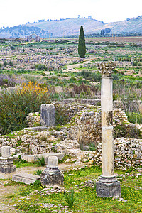 Morocco 站点中的 volubilis图片