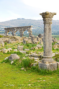 Morocco 和网站的 volubilis图片