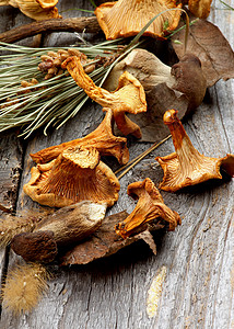 干燥的蘑菇背景美食家饮食健康饮食乡村生食棕色绿色纹理素食者图片